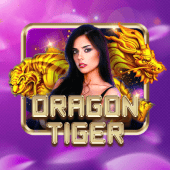 Dragon Tiger jiliko download apk casino
